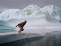 组图：英国游泳健将挑战北极冰河