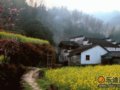 婺源:柳暗花明又一村