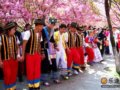 组图：花花昆明 翠湖漾春情