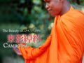 [斐来飞去]柬埔寨的永生记忆(组图)