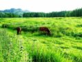 大明山自驾游