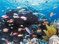 组图：到澳大利亚去上天下海