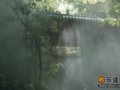 春来溯舟桃花源
