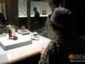 台北故宫翠玉白菜破损引关注 专家学者众说纷纭