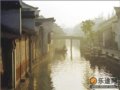 浙江：水乡古镇 情笃香巢