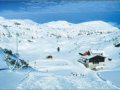 冰天雪地里娱乐：天体滑雪场上的赤裸运动(图)