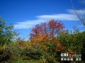 穿行九月的路：翻越大兴安岭(组图)
