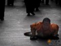 西藏摄影——是朝圣之旅还是忏悔之旅(图)