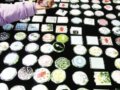 “可爱”的交易