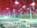 首都机场新航站楼 无人驾驶火车连接登机楼