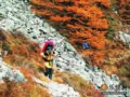 太白山徒步日记(组图)