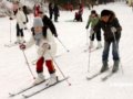 台湾青年学子冰城哈尔滨欢度“冰雪圣诞”