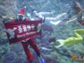 139元青岛极地圣诞双人行
