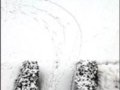 内蒙古：草原期盼幸福随雪来临