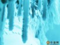 后河赏雪
