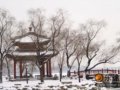 什刹海 一场红楼雪梦(组图)