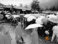 玉龙雪山期待减负 游客给保护区带来生态灾