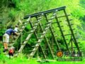 栾川 遍布童趣的山野天堂