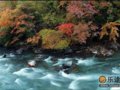 组图：米亚罗 三千里红叶江山
