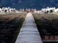 清东陵：从一堵残墙我们进入清朝