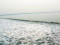 钱塘之水天上来——海宁攻略