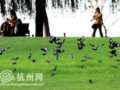 中国最幸福的城市