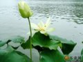 扬州 魂牵梦萦的地方