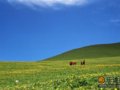 伊犁纪行：没有猜忌、争斗的世外桃源