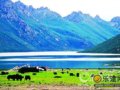 带着菜鸟徒步年保玉则(组图)