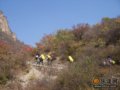 爱在金秋——黄草梁遗梦(组图)