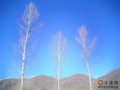 图文：残破与雄奇--箭扣野长城写真