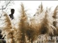 最美的时光