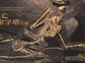 组图：死亡金字塔之迷