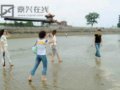 钱塘江涨沙感觉沧海变桑田 成另类天下奇观