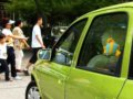 彩云南自驾车探寻普洱源之旅