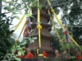 乐山乌龙寺纪念遍能大和尚诞辰百年活动