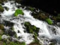 第七届腾冲火山热海文化旅游节拉开帷幕