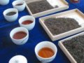 首届中国云南普洱茶国际博览交易会在昆举行