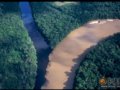 美丽的热带雨林：植物篇