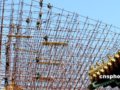 故宫装修收全价票遭起诉 原告一审被判败诉