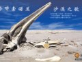 [图片故事]聆听索诺兰：沙漠之歌