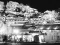 丽江古城之夜(图)