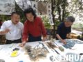 西子湖畔丹桂书画齐飘香