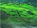 察隅地震,整个村庄被抛起