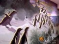 细雨纷飞下 近观蓝企鹅登陆回家