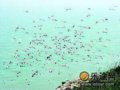在海边玩一场“日光”游戏(图)