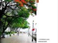厦门：路过了一个幸福城市