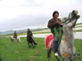 陶醉黄花沟,草原中的一片瑰丽(组图)