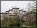 婺源纪行：遗憾与完美之间的距离(组图)