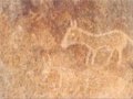 解密贵州开阳神秘的“画马崖”岩石画群
